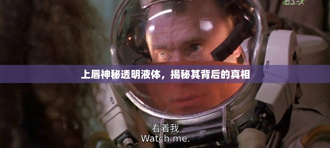 揭秘上唇透明液體，探索背后的科學(xué)真相
