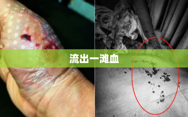 意外傷害，血跡之謎