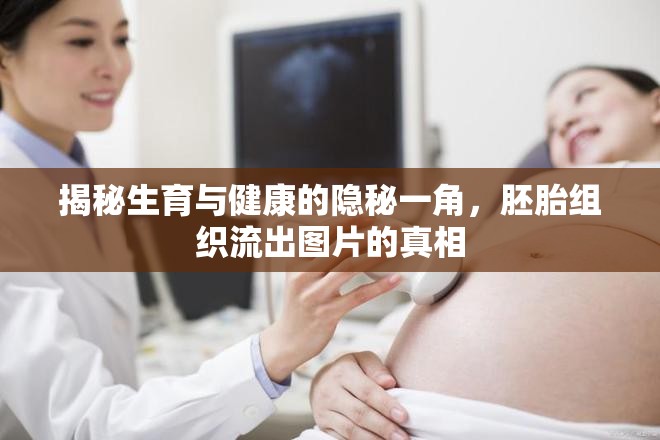 探索生育健康，胚胎組織流出圖片背后的真相