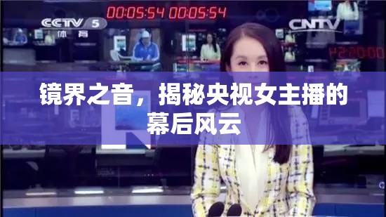 央視女主播，幕后風(fēng)云揭秘