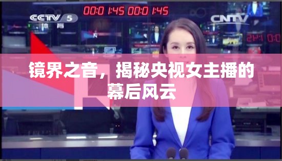 央視女主播，幕后風(fēng)云揭秘