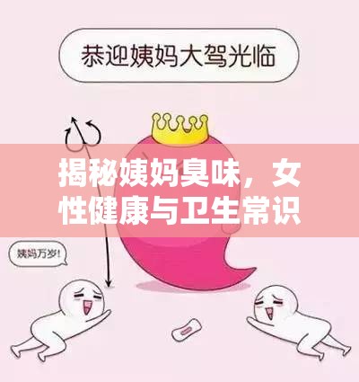 女性健康揭秘，姨媽臭味背后的真相與衛(wèi)生指南