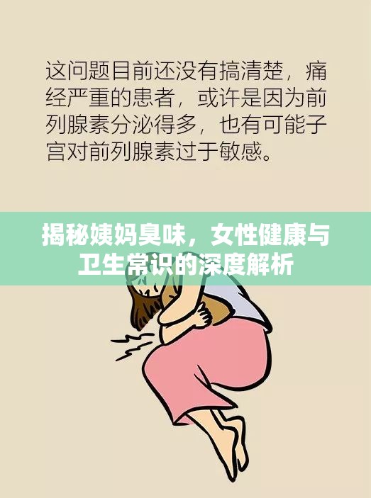 女性健康揭秘，姨媽臭味背后的真相與衛(wèi)生指南