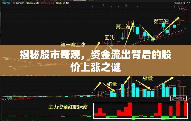 揭秘股市奇觀，資金流出背后的股價上漲之謎