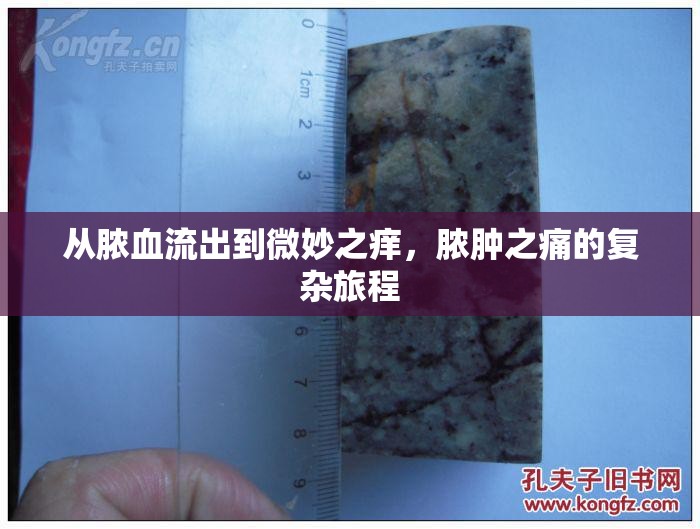 從膿血流出到微妙之癢，膿腫之痛的復雜旅程