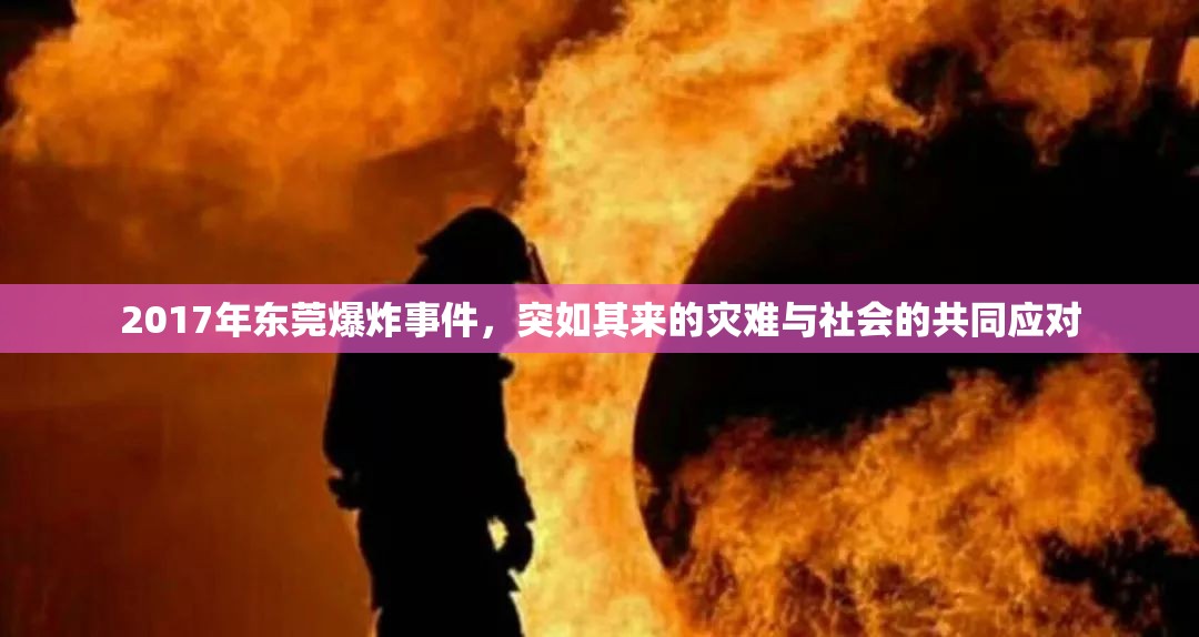 2017年?yáng)|莞爆炸事件，突如其來(lái)的災(zāi)難與社會(huì)的共同應(yīng)對(duì)