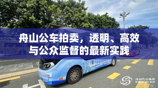 舟山公車拍賣，透明、高效與公眾監(jiān)督的最新實踐