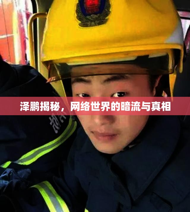 澤鵬揭秘，網(wǎng)絡(luò)世界的暗流與真相
