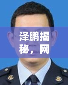 澤鵬揭秘，網(wǎng)絡(luò)世界的暗流與真相