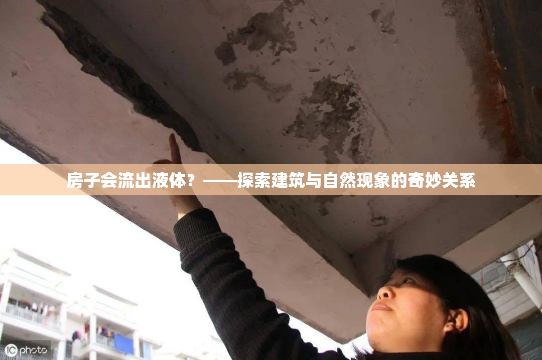 房子會(huì)流出液體？——探索建筑與自然現(xiàn)象的奇妙關(guān)系