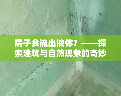 房子會(huì)流出液體？——探索建筑與自然現(xiàn)象的奇妙關(guān)系