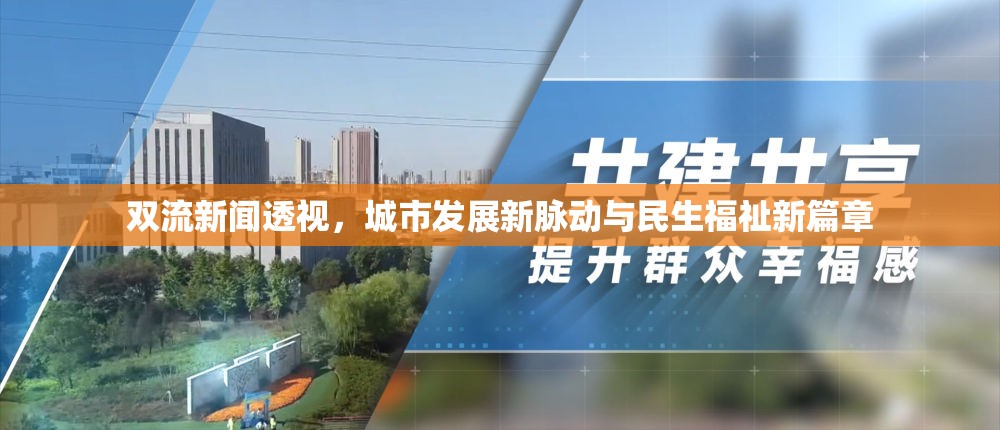 雙流新聞透視，城市發(fā)展新脈動與民生福祉新篇章