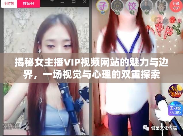 揭秘女主播VIP視頻網(wǎng)站的魅力與邊界，一場視覺與心理的雙重探索