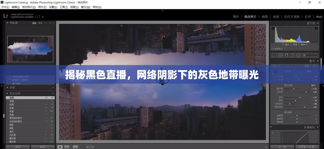 揭秘黑色直播，網(wǎng)絡(luò)陰影下的灰色地帶曝光