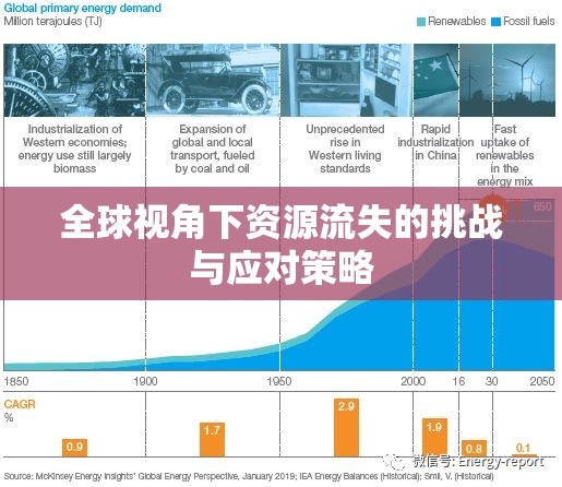 全球視角下資源流失的挑戰(zhàn)與應(yīng)對策略