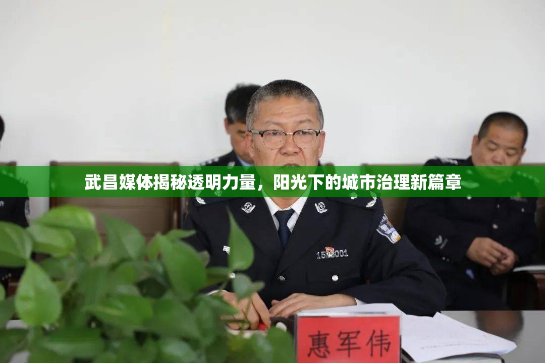 武昌媒體揭秘透明力量，陽(yáng)光下的城市治理新篇章