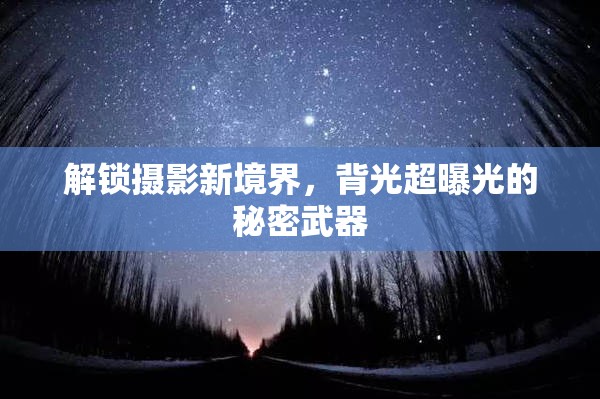 解鎖攝影新境界，背光超曝光的秘密武器