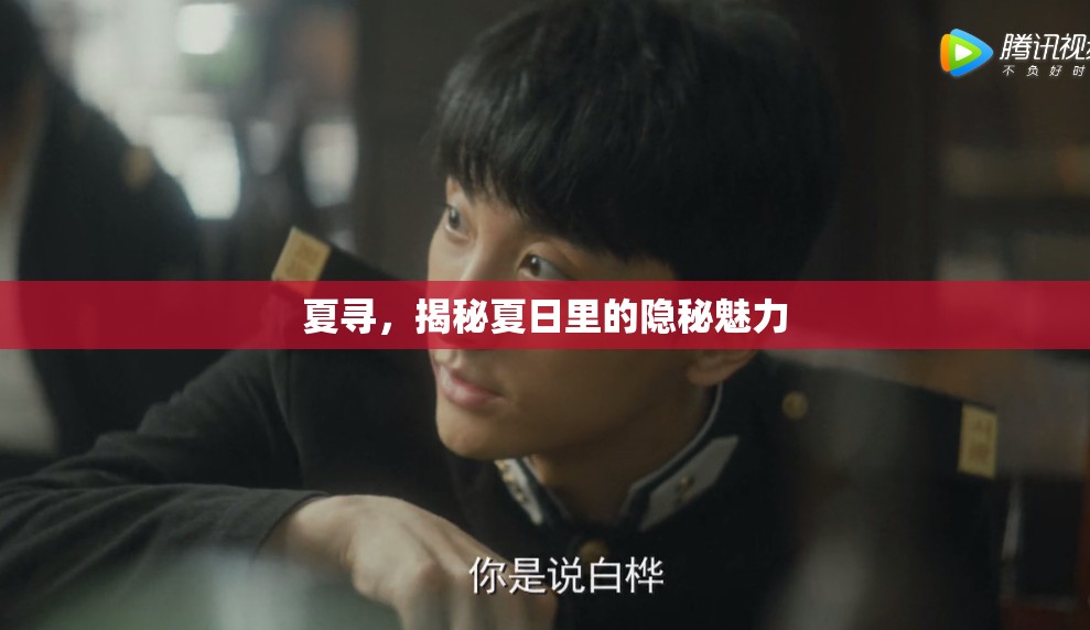 夏尋，揭秘夏日里的隱秘魅力