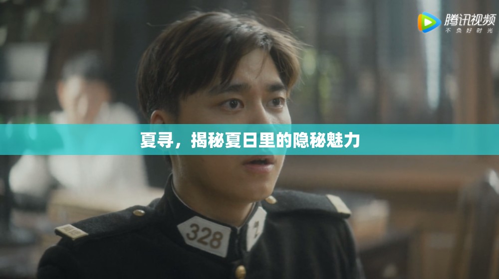 夏尋，揭秘夏日里的隱秘魅力