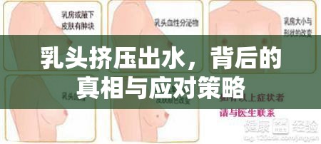 乳頭擠壓出水，背后的真相與應(yīng)對(duì)策略
