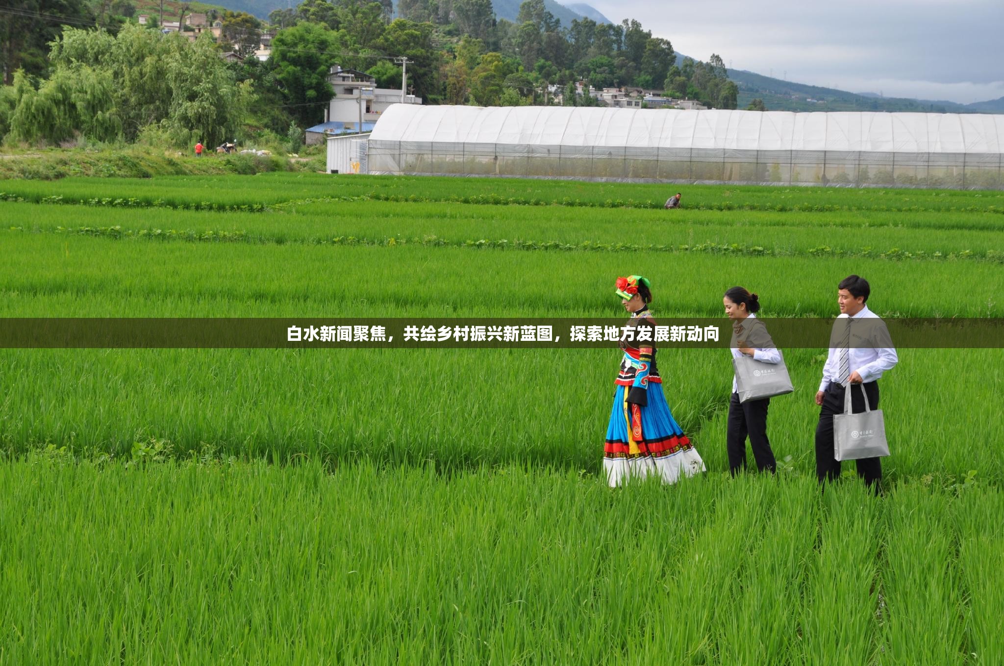 白水新聞聚焦，共繪鄉(xiāng)村振興新藍(lán)圖，探索地方發(fā)展新動(dòng)向