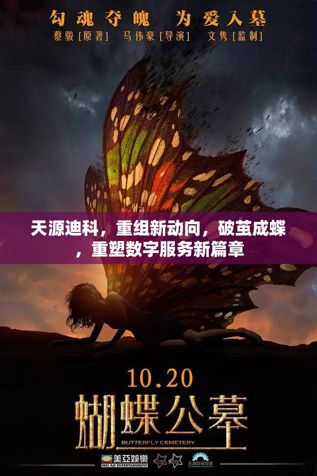天源迪科，重組新動(dòng)向，破繭成蝶，重塑數(shù)字服務(wù)新篇章