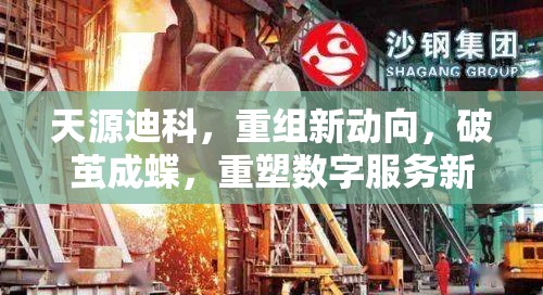 天源迪科，重組新動(dòng)向，破繭成蝶，重塑數(shù)字服務(wù)新篇章