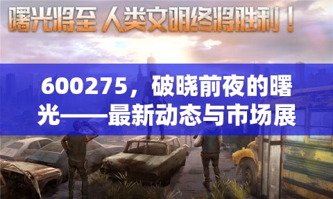 600275，破曉前夜的曙光——最新動(dòng)態(tài)與市場(chǎng)展望