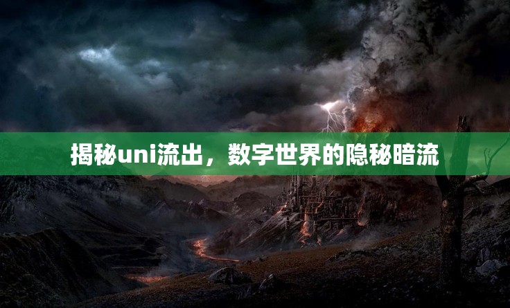 揭秘uni流出，數(shù)字世界的隱秘暗流