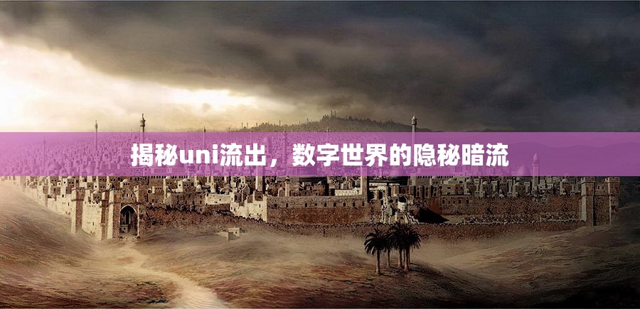 揭秘uni流出，數(shù)字世界的隱秘暗流