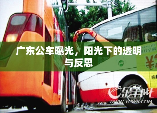廣東公車曝光，陽(yáng)光下的透明與反思