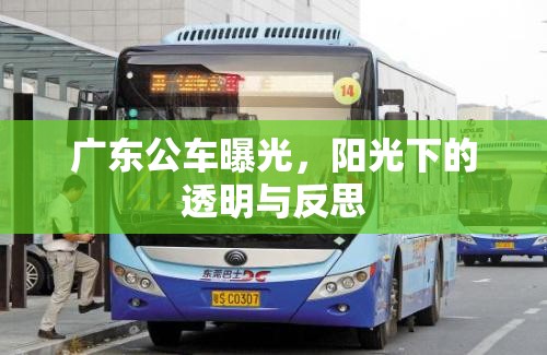 廣東公車曝光，陽(yáng)光下的透明與反思