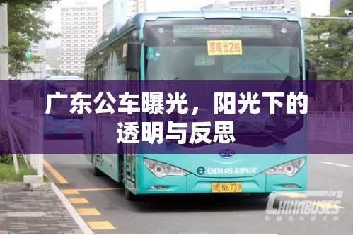 廣東公車曝光，陽(yáng)光下的透明與反思