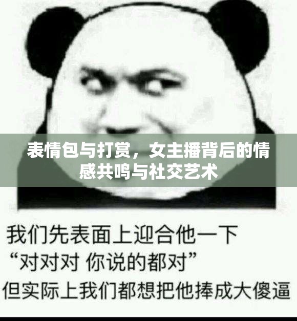 表情包與打賞，女主播背后的情感共鳴與社交藝術
