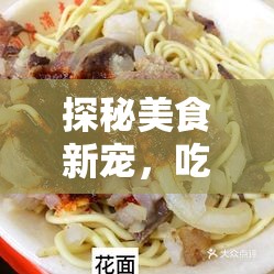探秘美食新寵，吃羊腸面女主播的魅力之旅
