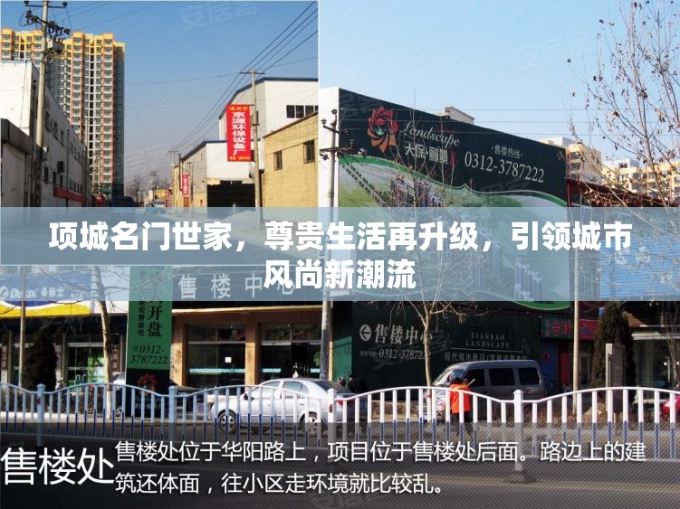 項城名門世家，尊貴生活再升級，引領城市風尚新潮流