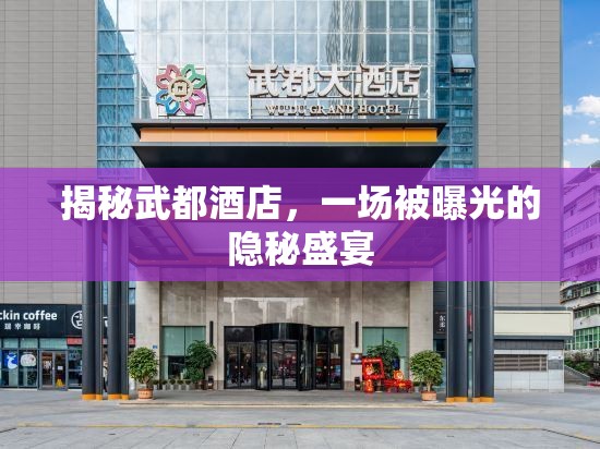 揭秘武都酒店，一場(chǎng)被曝光的隱秘盛宴