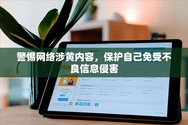 警惕網(wǎng)絡(luò)涉黃內(nèi)容，保護自己免受不良信息侵害