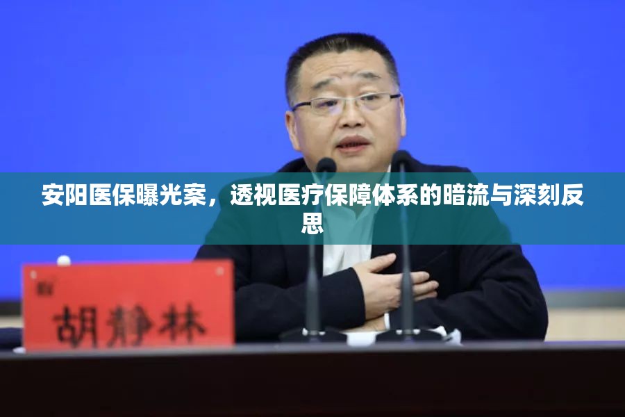 安陽(yáng)醫(yī)保曝光案，透視醫(yī)療保障體系的暗流與深刻反思