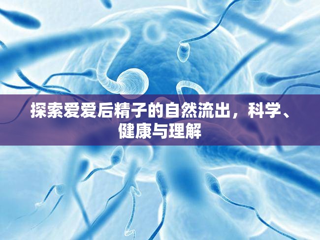 探索愛(ài)愛(ài)后精子的自然流出，科學(xué)、健康與理解
