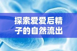 探索愛(ài)愛(ài)后精子的自然流出，科學(xué)、健康與理解