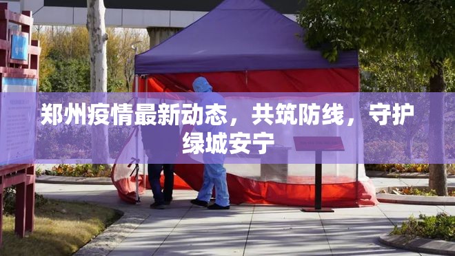 鄭州疫情最新動態(tài)，共筑防線，守護(hù)綠城安寧