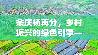 余慶楊再分，鄉(xiāng)村振興的綠色引擎——最新進(jìn)展與影響探析