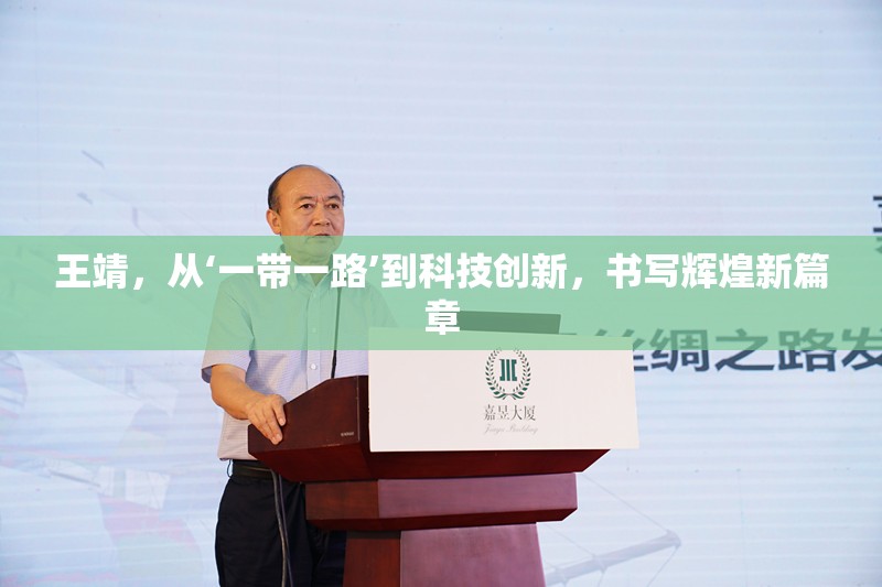 王靖，從‘一帶一路’到科技創(chuàng)新，書寫輝煌新篇章