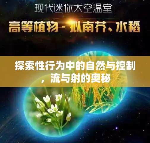 探索性行為中的自然與控制，流與射的奧秘