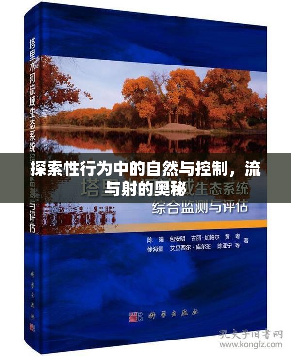探索性行為中的自然與控制，流與射的奧秘