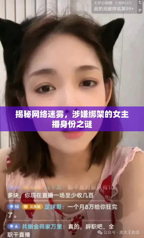揭秘網(wǎng)絡迷霧，涉嫌綁架的女主播身份之謎