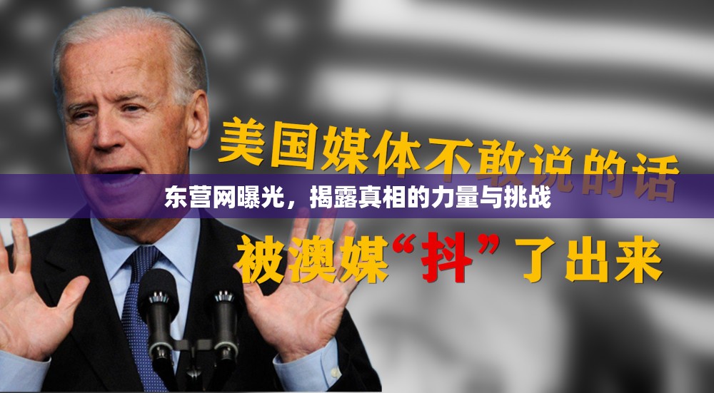 東營網曝光，揭露真相的力量與挑戰(zhàn)