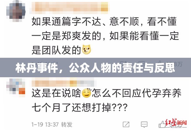 林丹事件，公眾人物的責(zé)任與反思