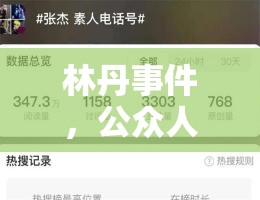 林丹事件，公眾人物的責(zé)任與反思